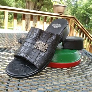 HARLEY DAVIDSON SLIDES!!!